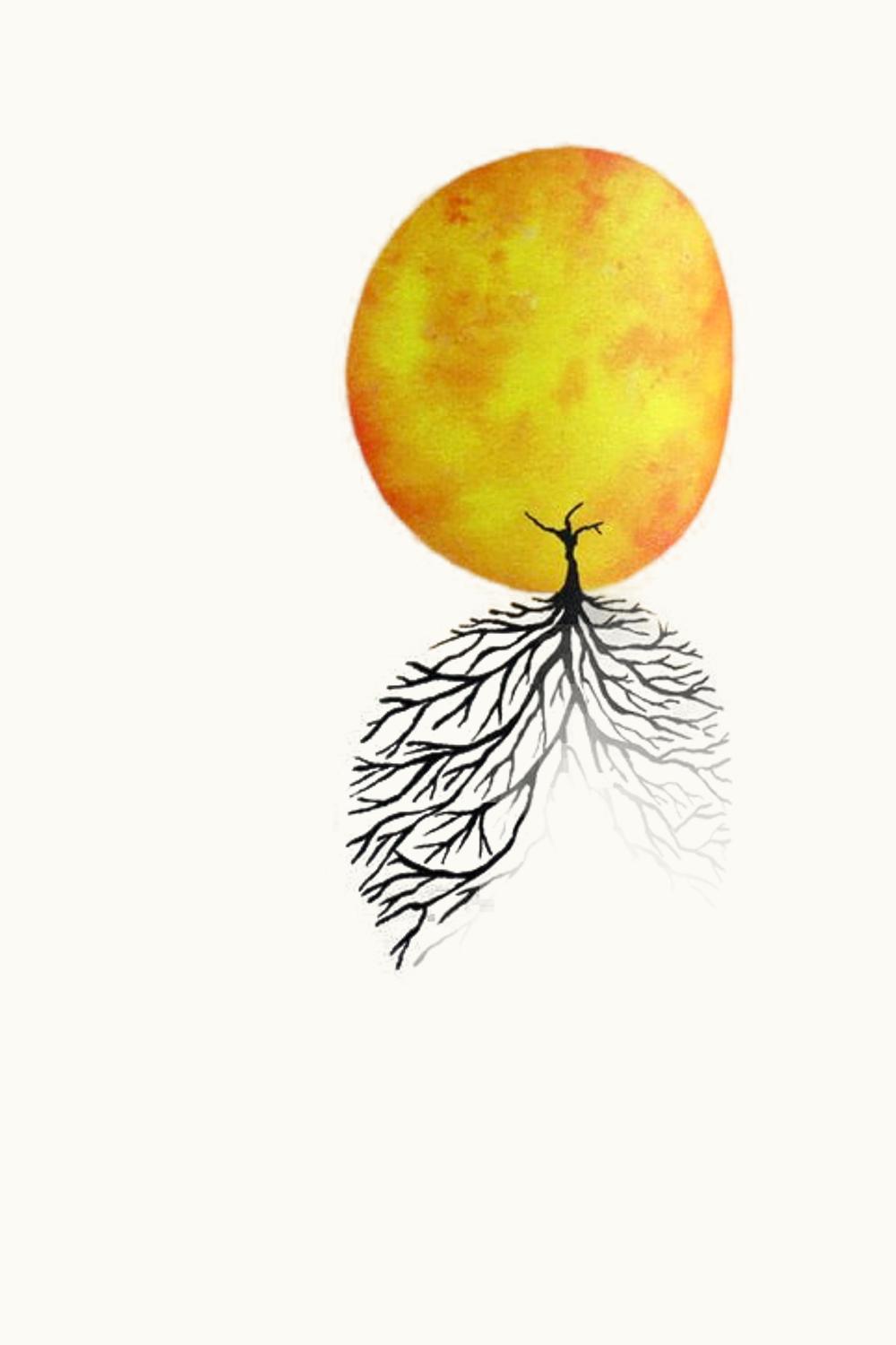 Domaine Ostertag Domaine Ostertag Riesling Heissen, 2019