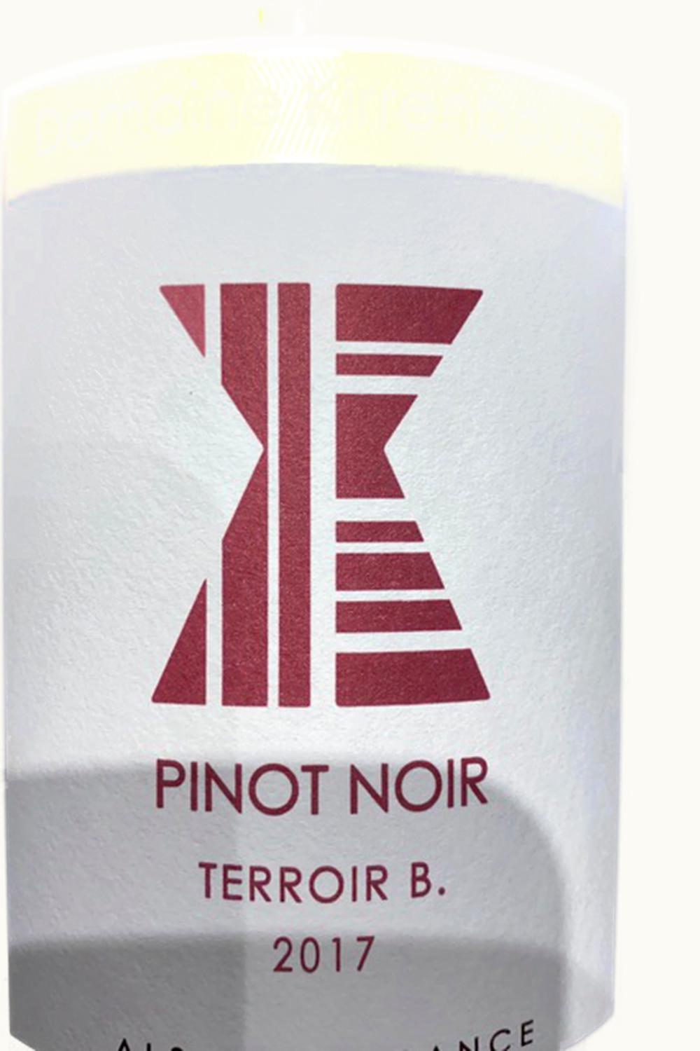 Domaine Kirrenbourg Domaine Kirrenbourg Martin Schaetzel Pinot Noir Cuvee Mathieu, 2015