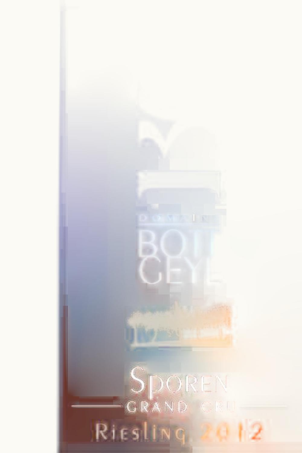 Domaine Bott-Geyl Domaine Bott-Geyl Riesling Sporen Grand Cru, 2014