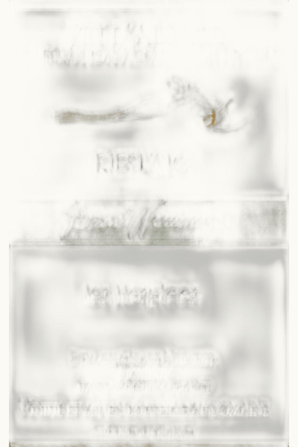 Domaine Gérard Neumeyer Domaine Gérard Neumeyer Riesling Les Hospices, 2013