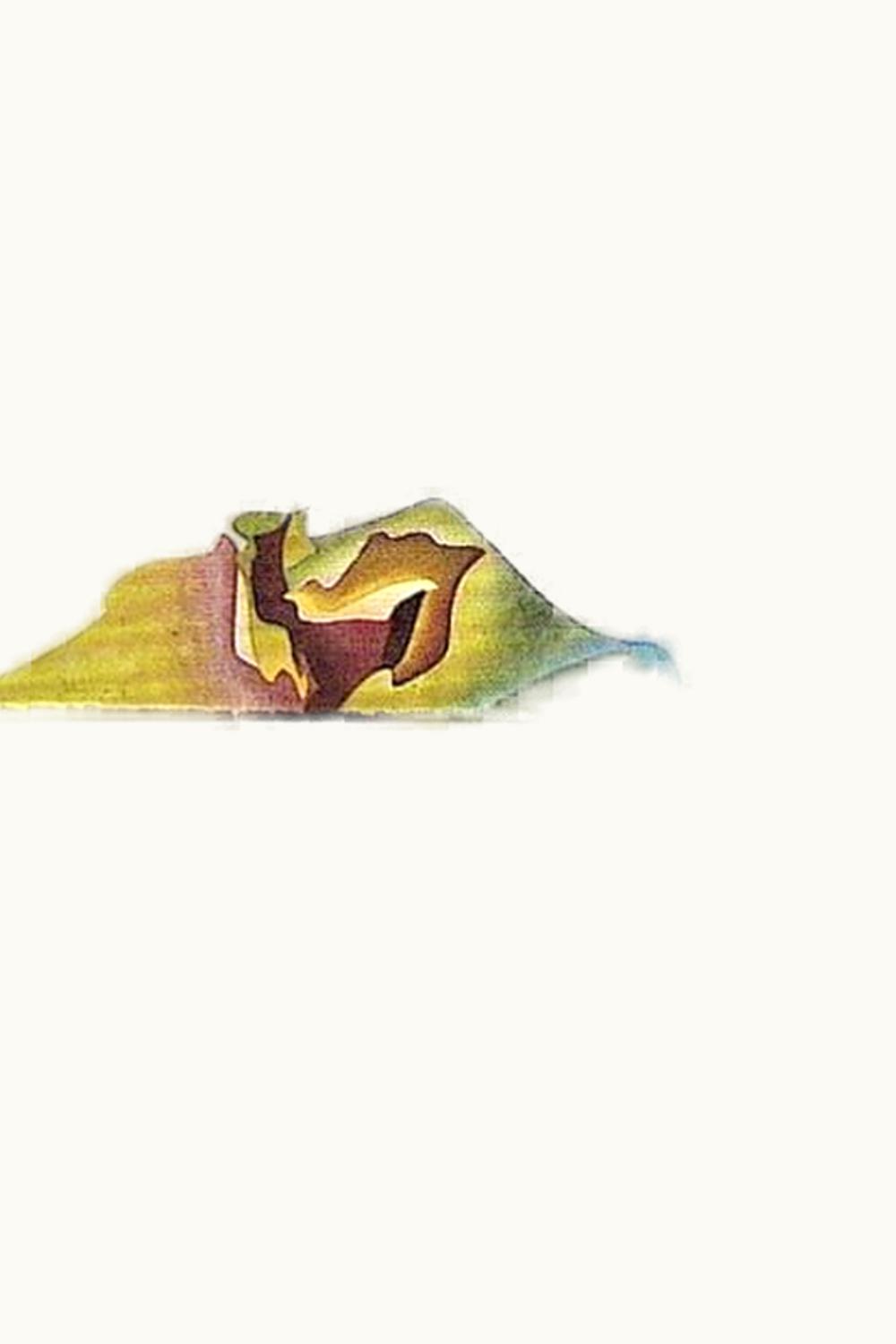 Seppi Landmann Seppi Landmann Riesling Zinnkoepfle Grand Cru, 2013