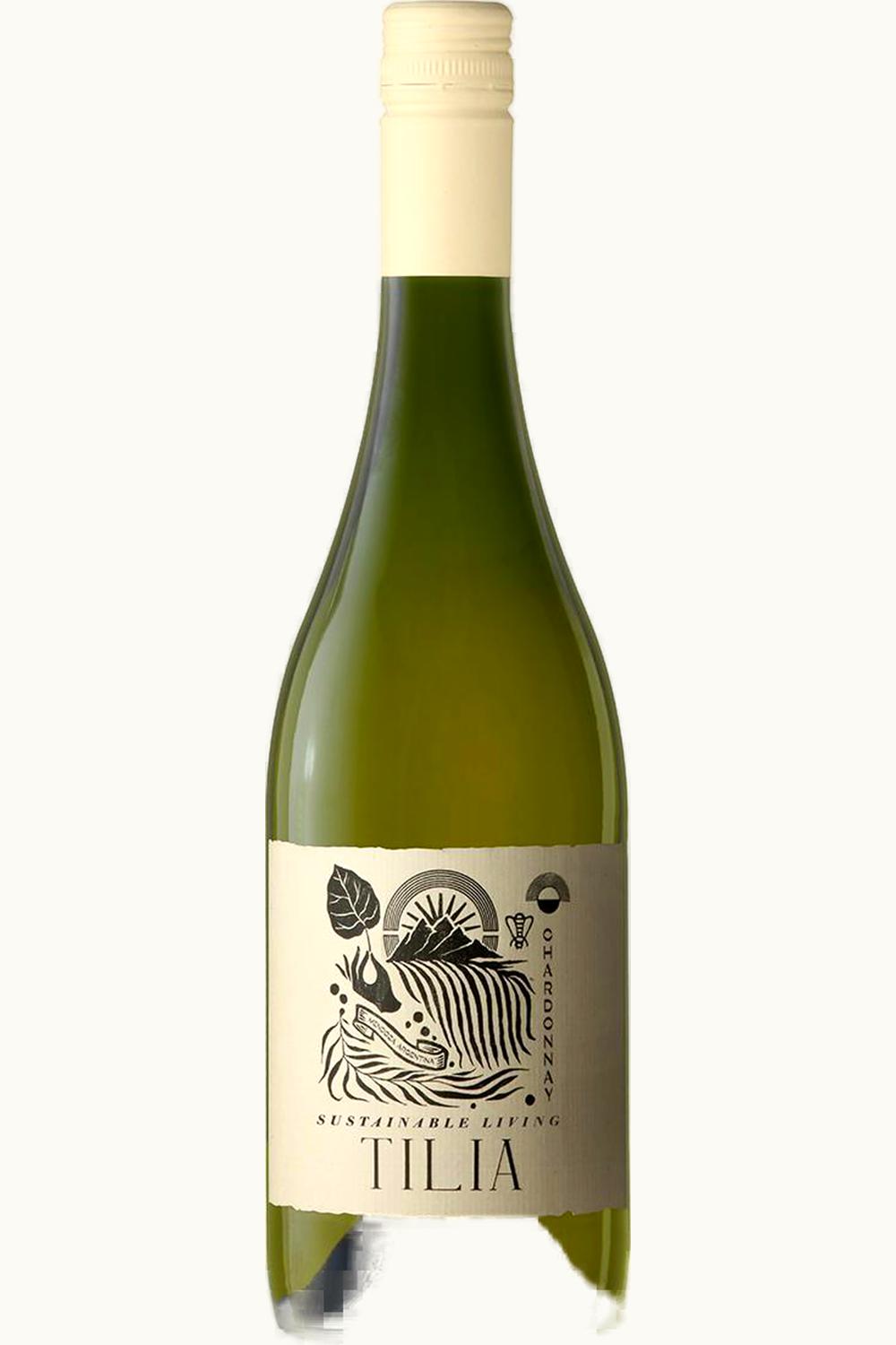 Tilia Tilia Chard, 2022