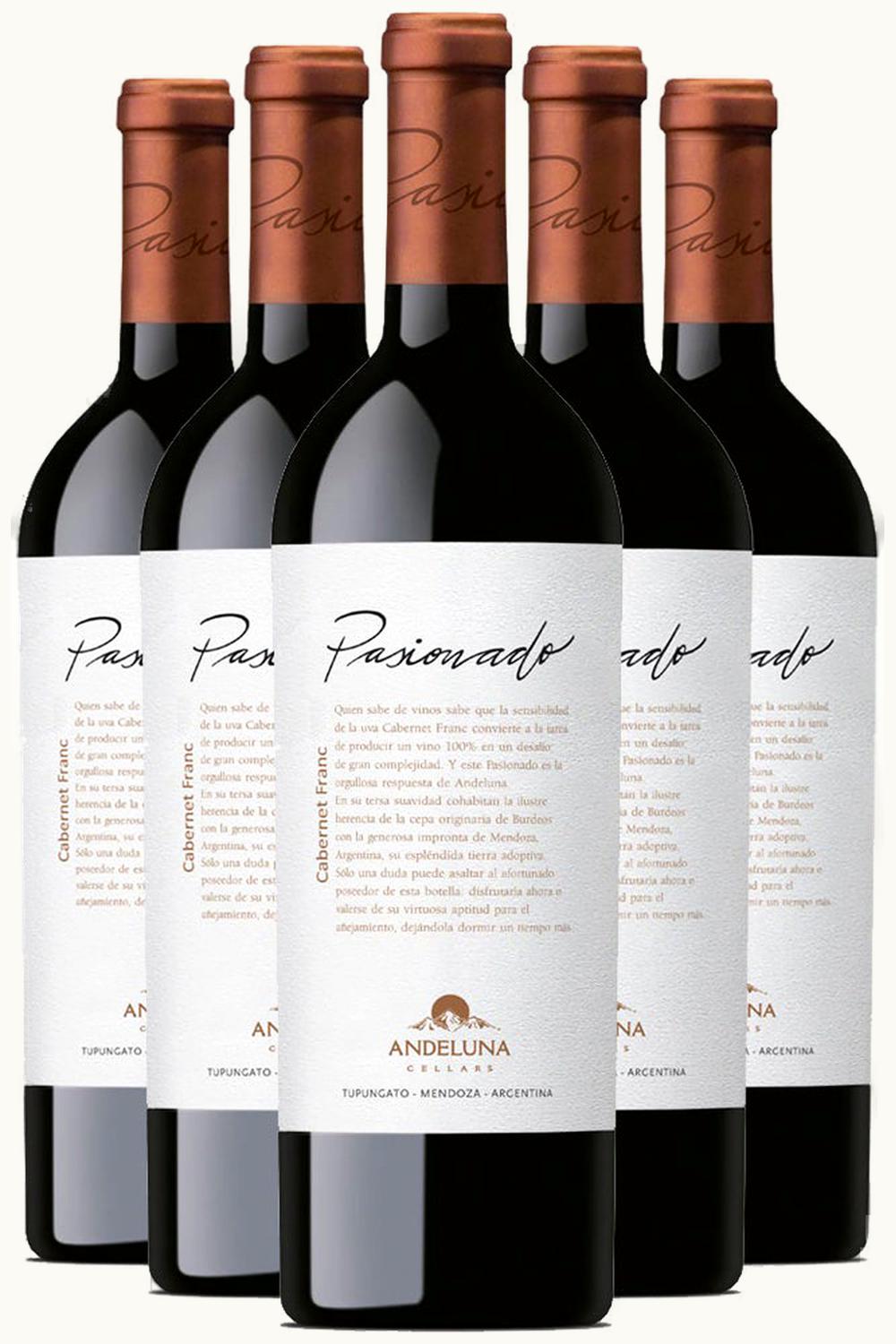 Andeluna Andeluna Pasionado Cab Franc Tupungato Uco Valley Mendoza Argentina, 2019
