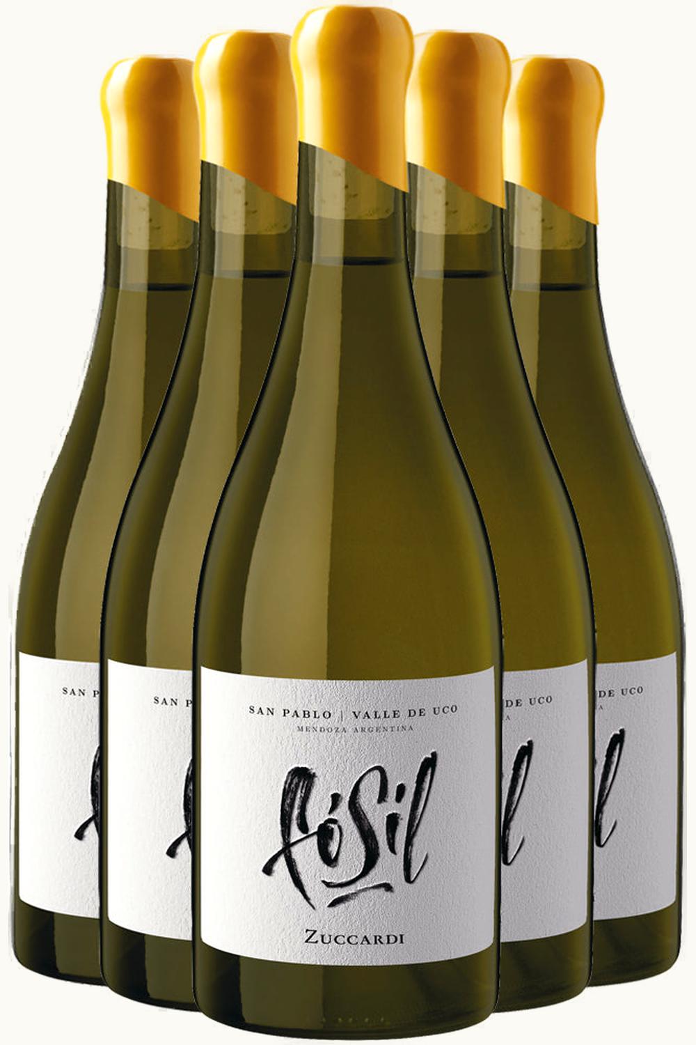 Familia Zuccardi Familia Zuccardi Fósil St. Pablo Tunuyán Uco Valley Mendoza Argentina, 2018