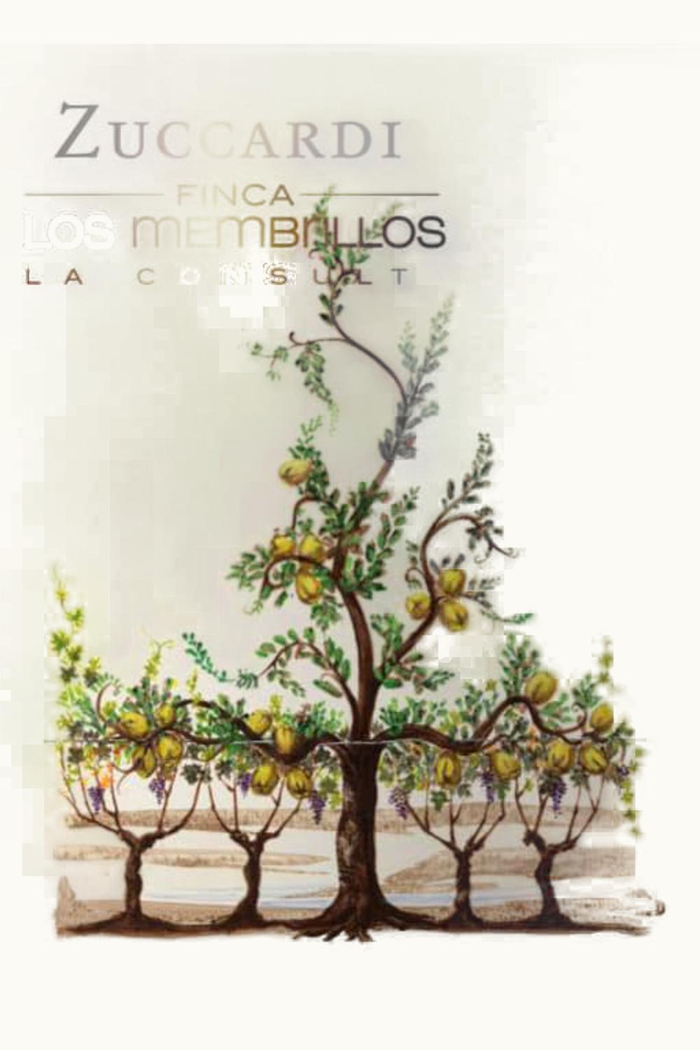 Familia Zuccardi Familia Zuccardi Finca Los Membrillo La Consulta Uco Valley Mendoza, 2013