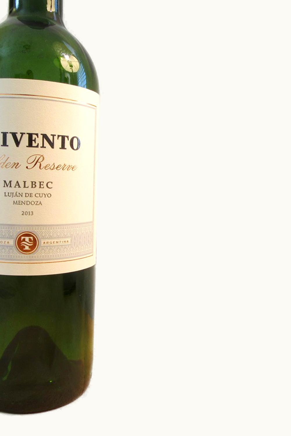 Trivento Trivento Golden Reserve Malbec Luján de Cuyo Mendoza, 2013