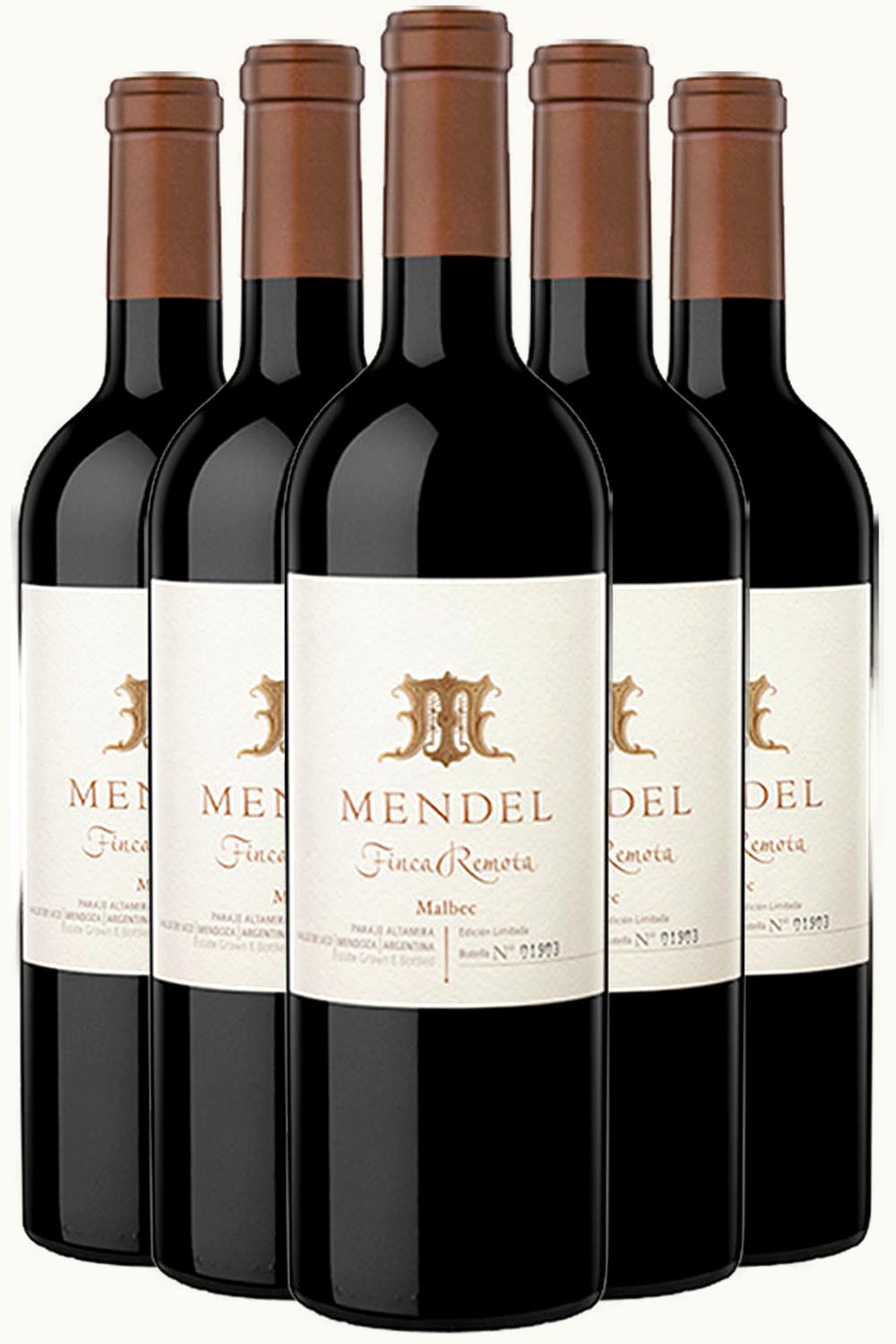 Mendel Mendel Finca Remota Malbec La Consulta Uco Valley Mendoza, 2013