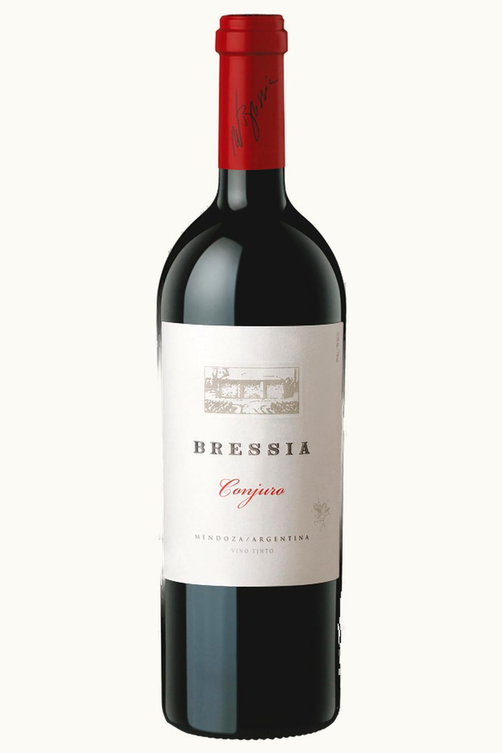 Bressia Bressia Conjuro Tupungato Uco Valley Mendoza, 2013