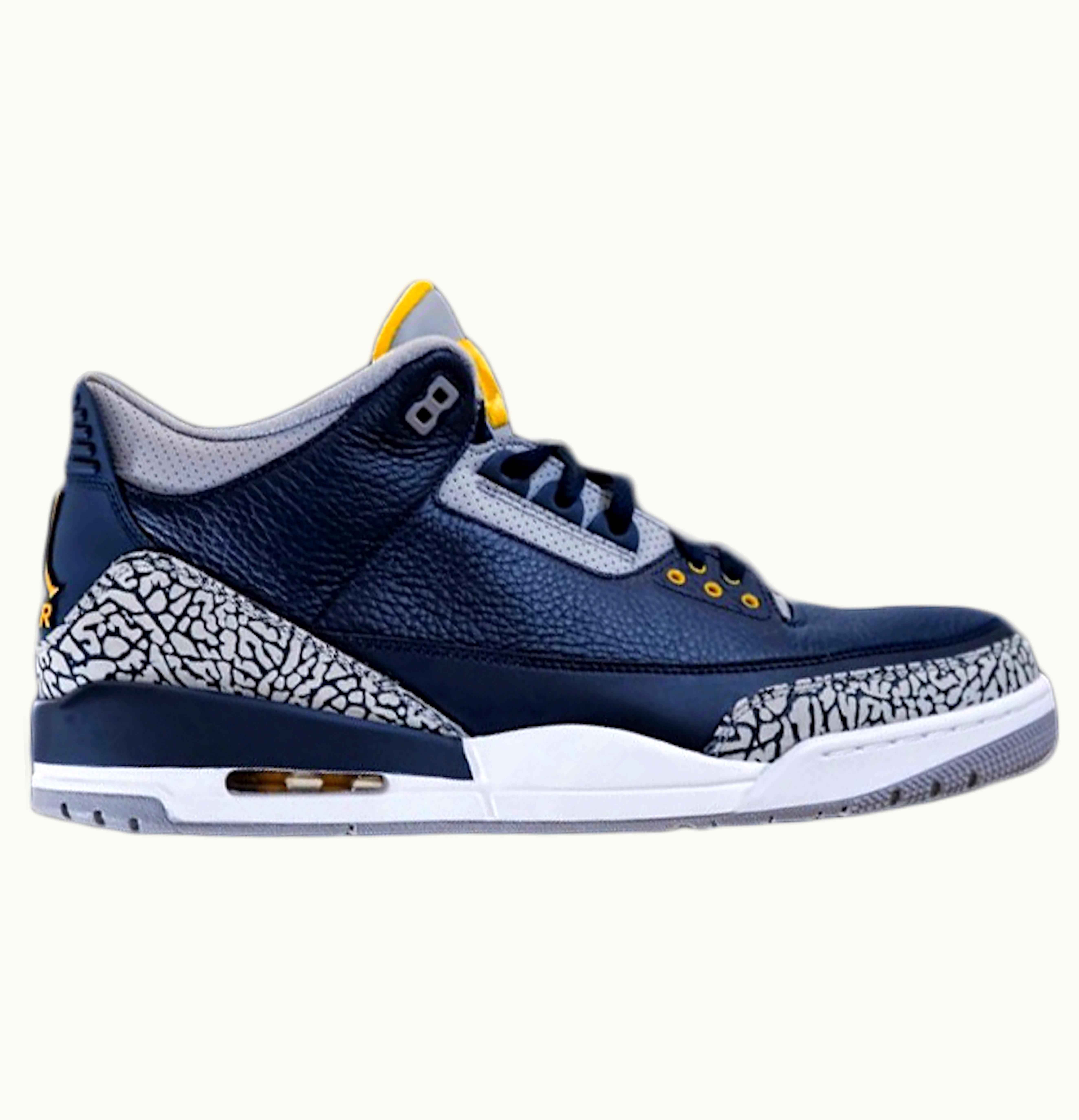Jordan Air Jordan 3 Retro Michigan PE