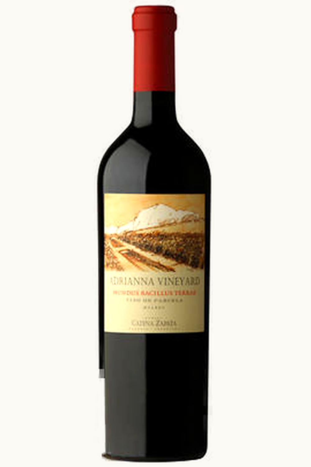 Catena Zapata Catena Zapata Adrianna Mundus Bacillus Terrae Malbec Gualtallary Tupungato Uco Valley Mendoza, 2011