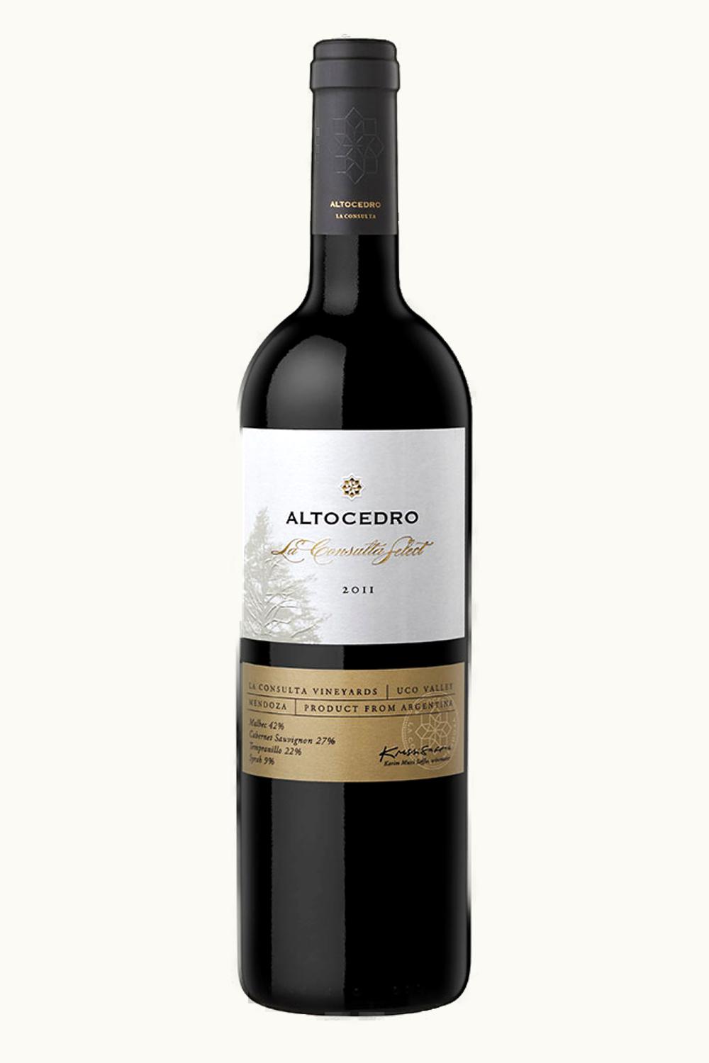 Alto Cedro Alto Cedro Cero Malbec La Consulta Uco Valley Mendoza, 2011