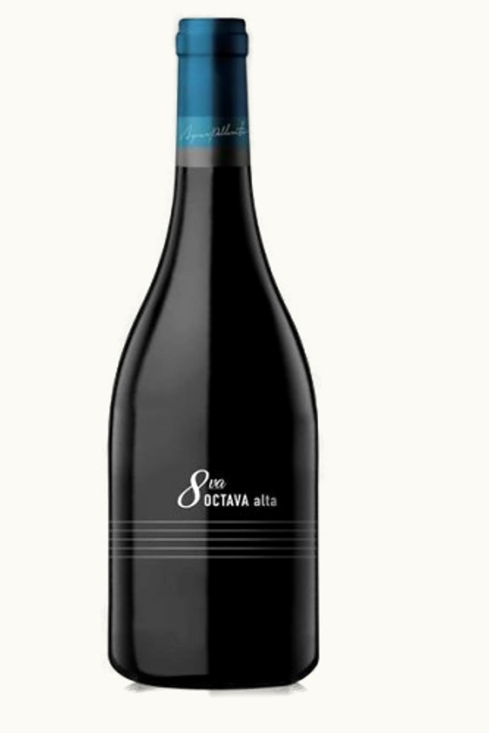 Abremundos Octava Alta Uco Valley Mendoza, 2011