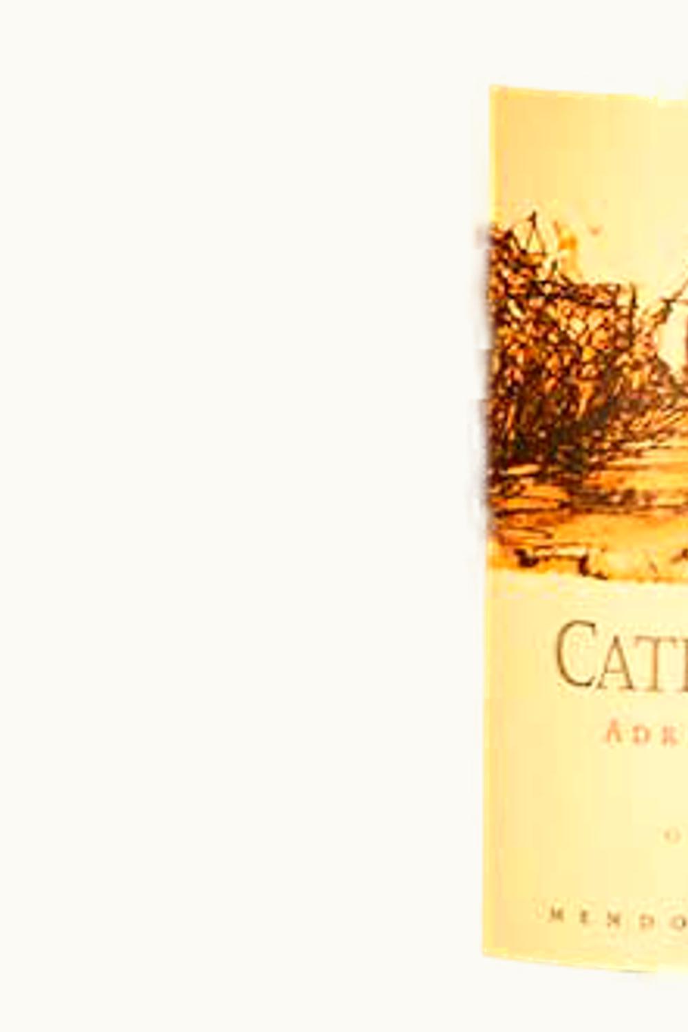 Catena Zapata Catena Zapata Adriana Vineyard Malbec Gualtallary Tupungato Uco Valley Mendoza, 2009
