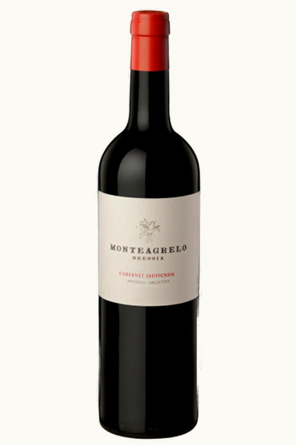 Bressia Bressia Monteagrelo Cabernet Sauvignon Luján de Cuyo Mendoza, 2009