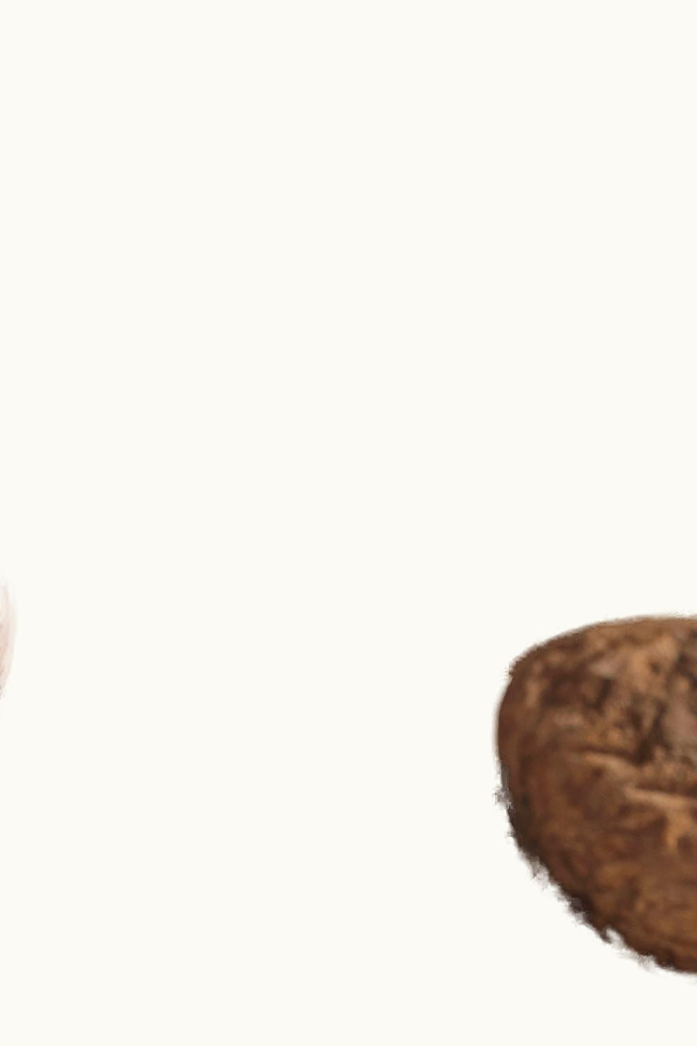 Norton Norton Barrel Select Merlot Luján de Cuyo Mendoza, 2009