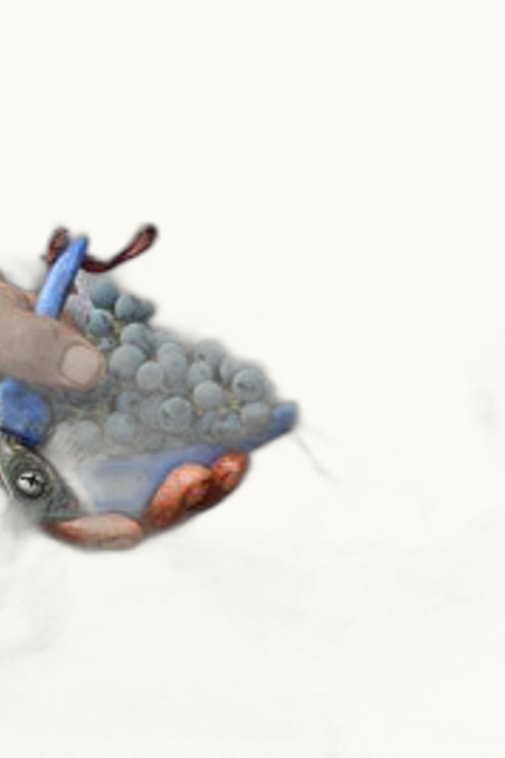 Zorzal Zorzal Climax Malbec Tupungato Uco Valley Mendoza, 2009