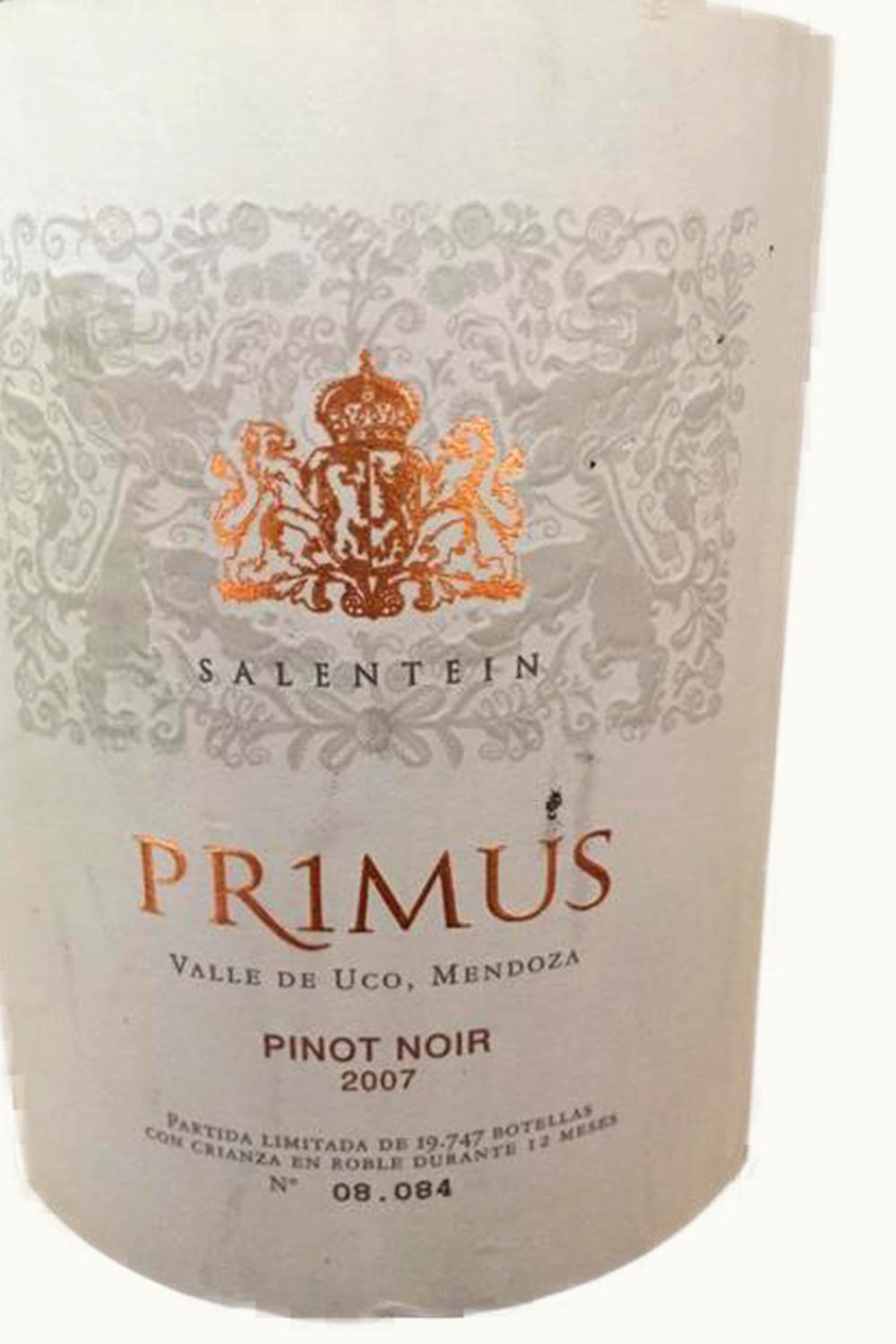 Salentein Primus Pinot Noir Tunuyán Uco Valley Mendoza Argentina, 2007