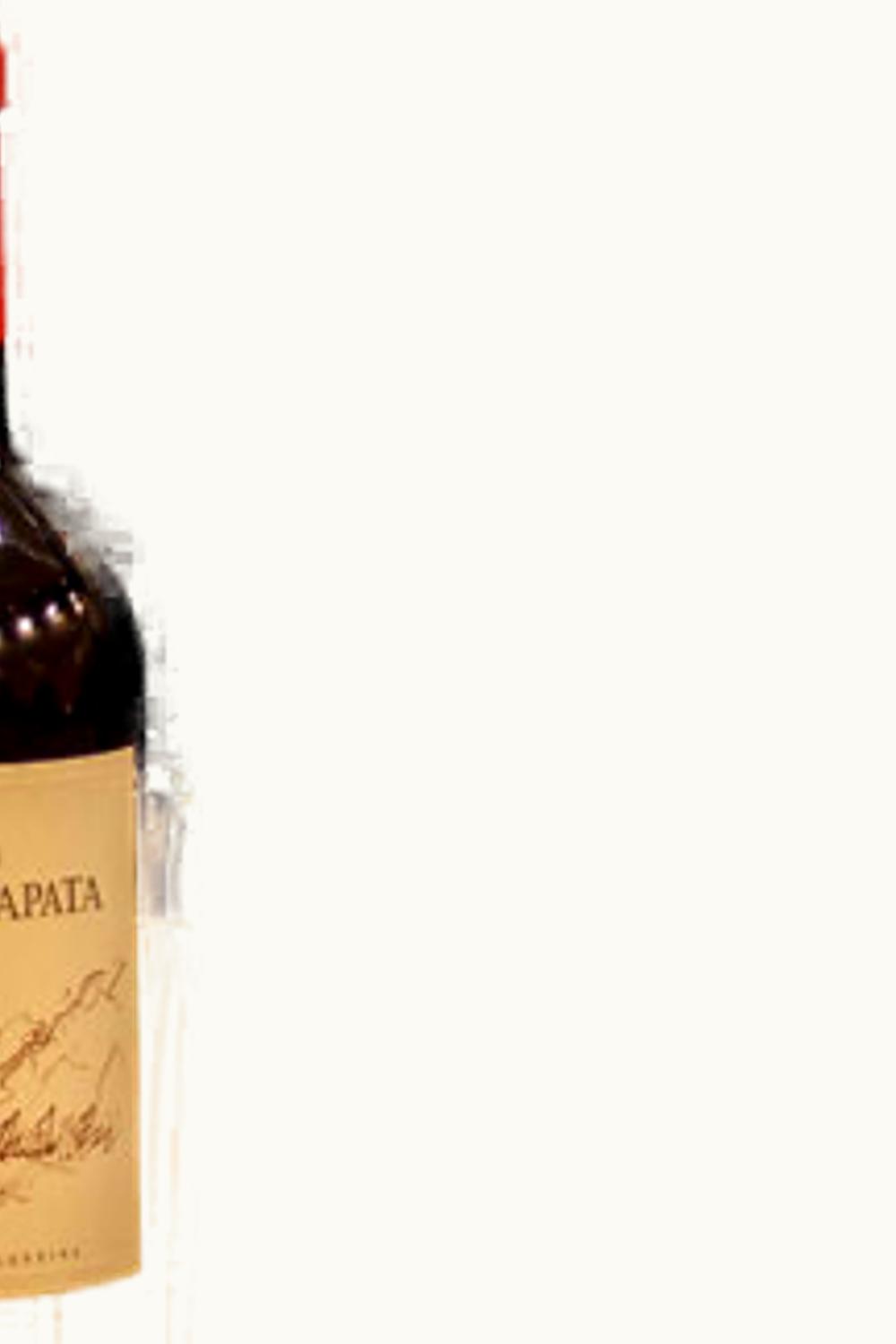 Catena Zapata Nicosia Malbec La Consulta Uco Valley Mendoza Argentina, 2004