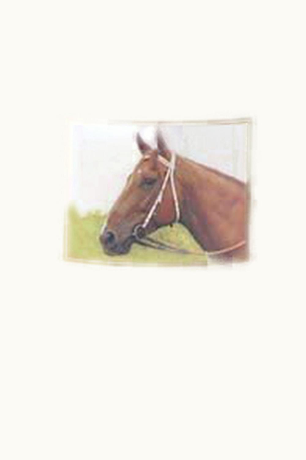 Yalumba Thoroughbred Series Vintage Port, 1981