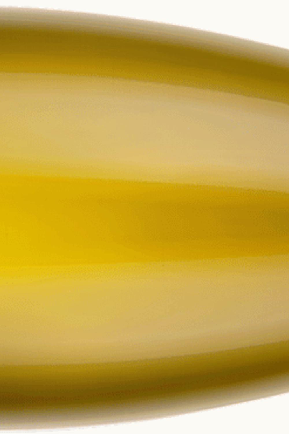 Bründlmayer Bründlmayer Zobinger Heiligenstein Alte Reben RSRV Riesling DAC Kamptal Austria, 2021