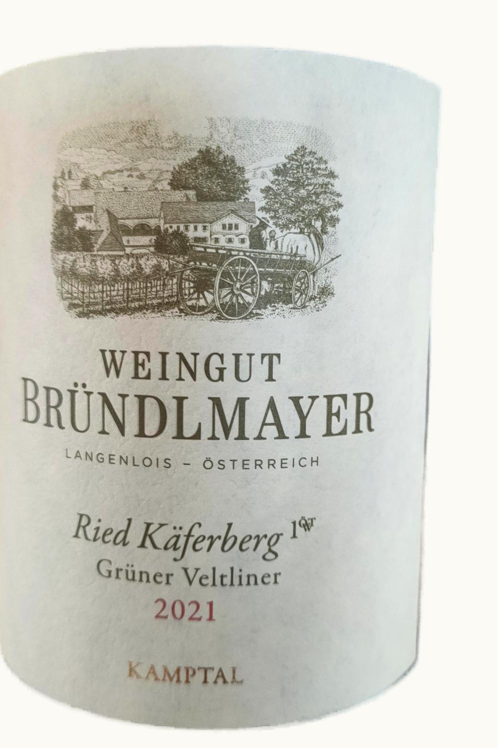 Bründlmayer Bründlmayer Lamm RSRV Gruner Veltliner Niederosterreich Austria, 2021