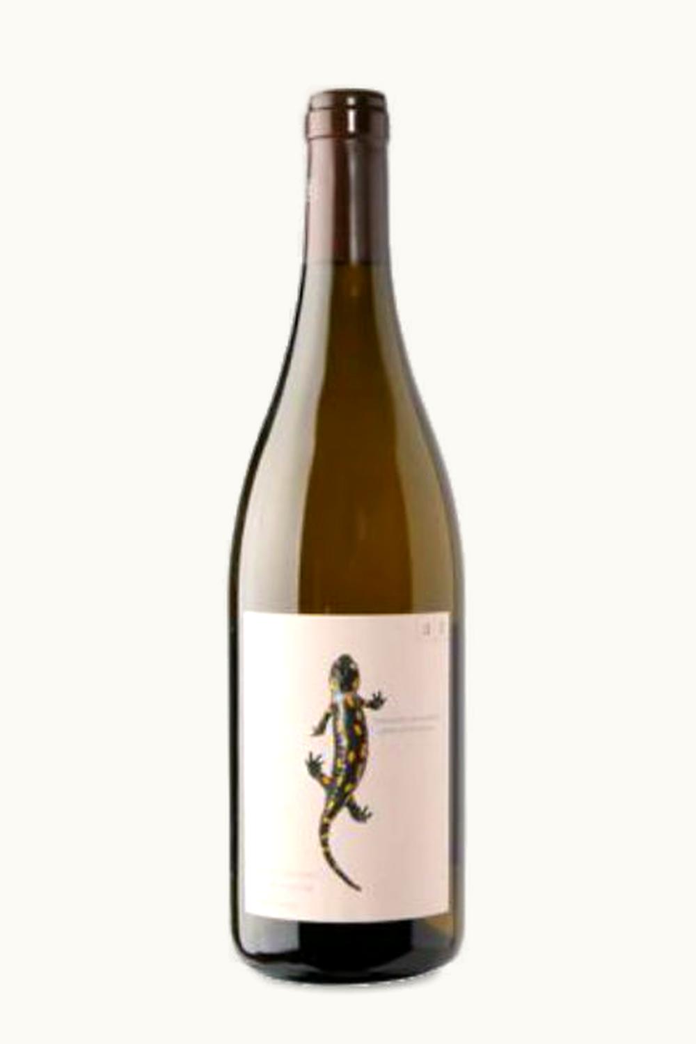Andreas Tscheppe Andreas Tscheppe Salamander Chardonnay Süd Steiermark Austria, 2019