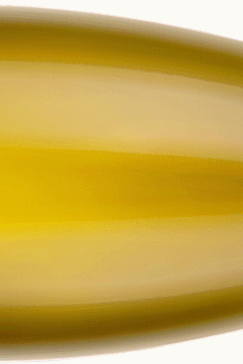 Bründlmayer Bründlmayer Zöbinger Heiligenstein Alte Reben RSRV Riesling DAC Kamptal, 2014