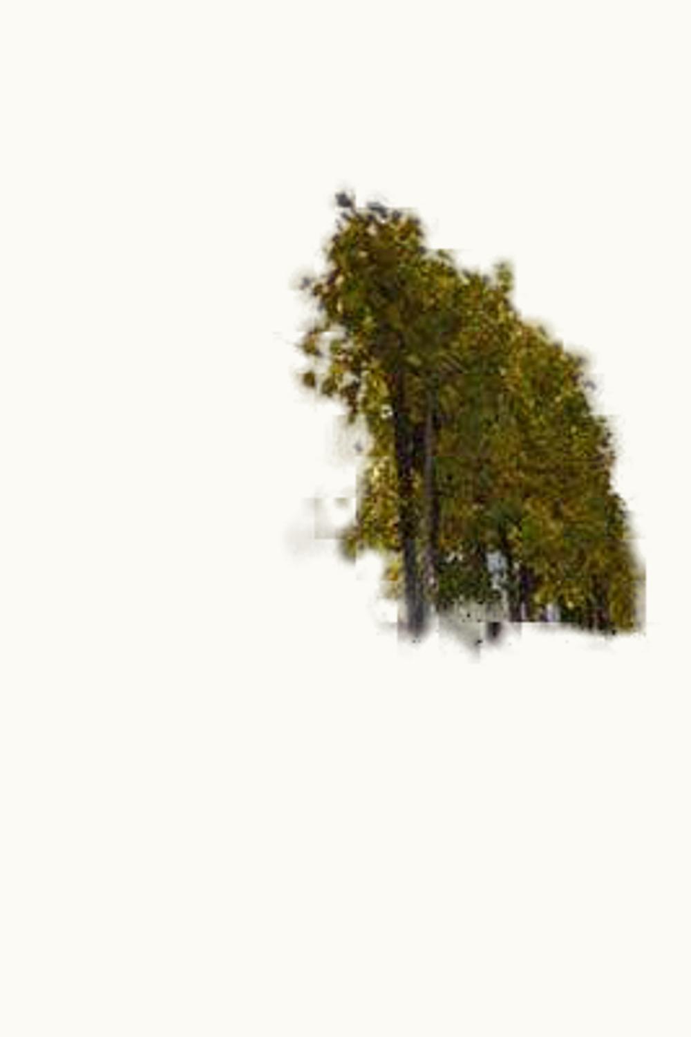 Emmerich Knoll Emmerich Knoll Pfaffenberg Steiner Riesling Kabinett Wachau, 2014