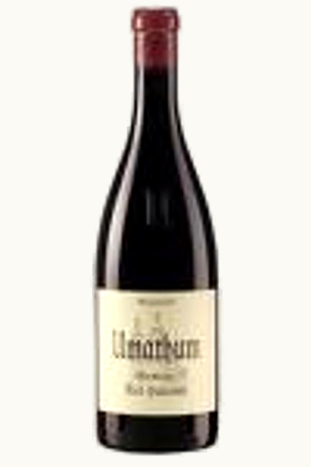 Umathum Umathum Hallebühl Burgenland, 2013