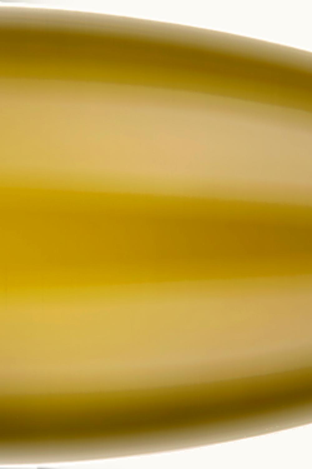 Bründlmayer Bründlmayer Zöbinger Heiligenstein Lyra Riesling DAC Kamptal, 2011