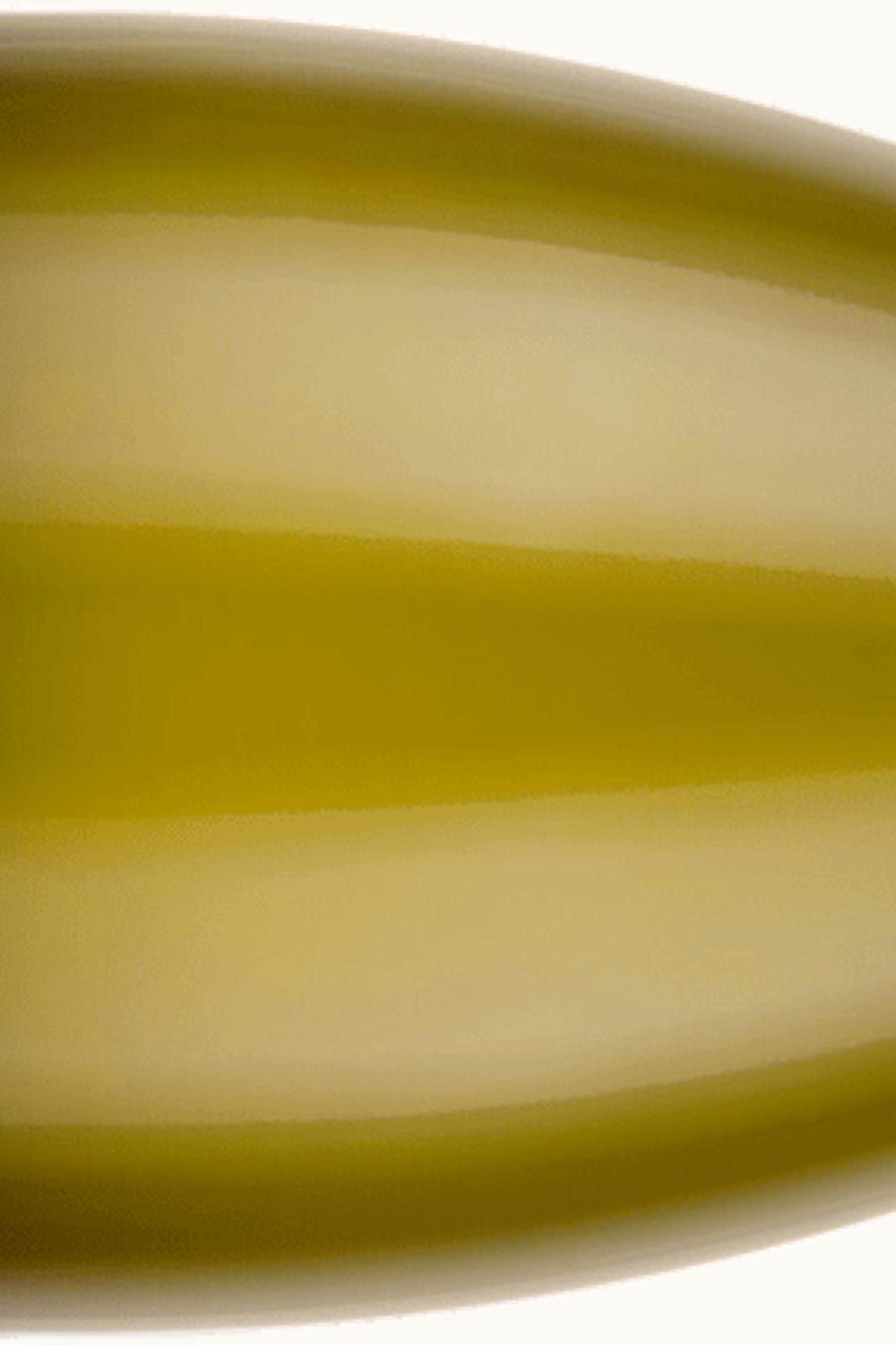 Bründlmayer Bründlmayer Loiser Berg Grüner Veltliner DAC Kamptal, 2011