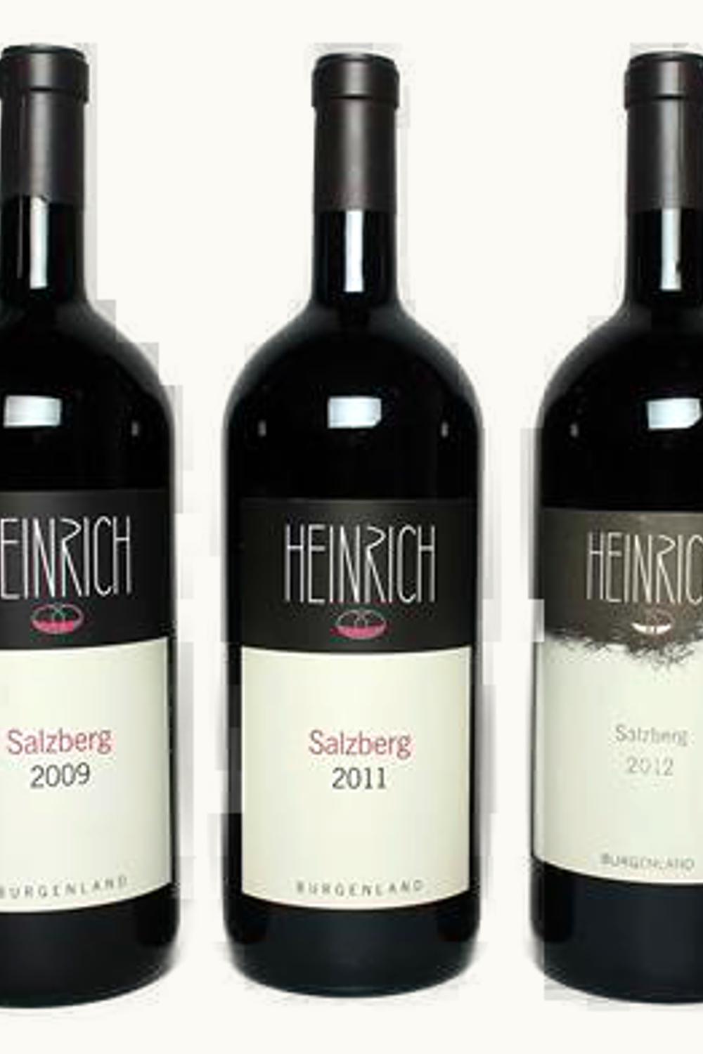 Gernot Heinrich Gernot Heinrich Salzberg Burgenland, 2009