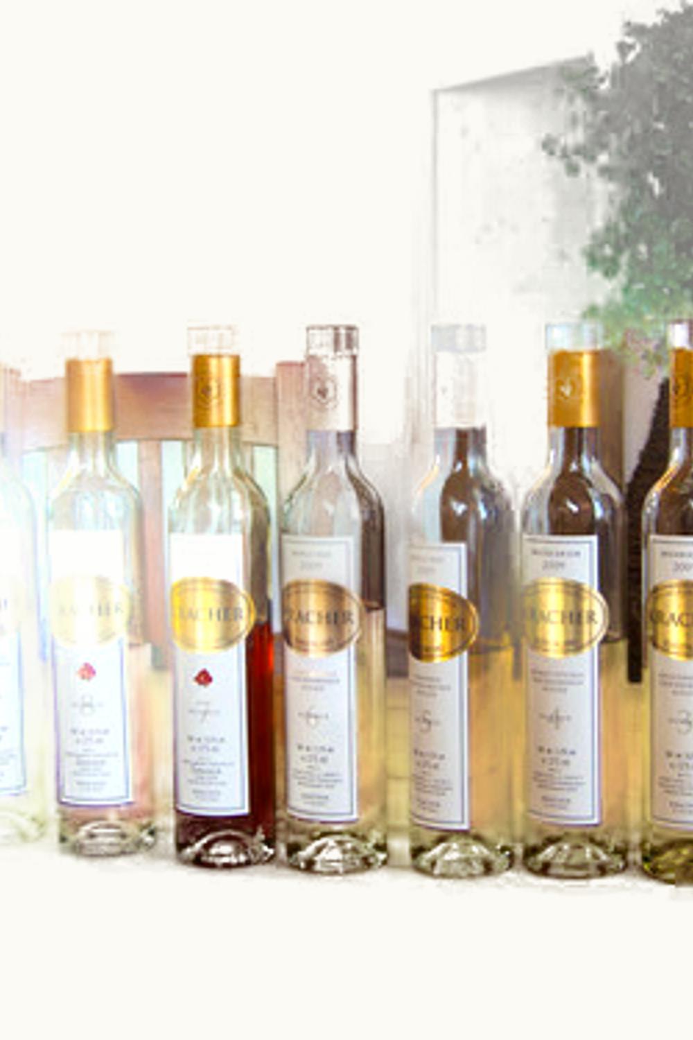 Weinlaub Alois Kracher Weinlaub Alois Kracher Collection Rosen Muscat TBA Burgenland, 2007