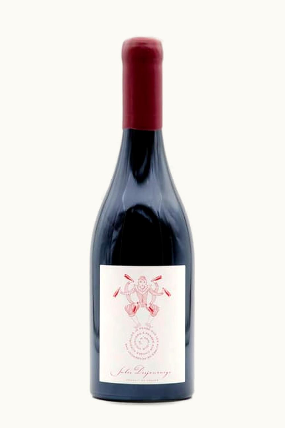 Domaine Jules Desjourneys Domaine Jules Desjourneys Styx Moulin à Vent, 2020