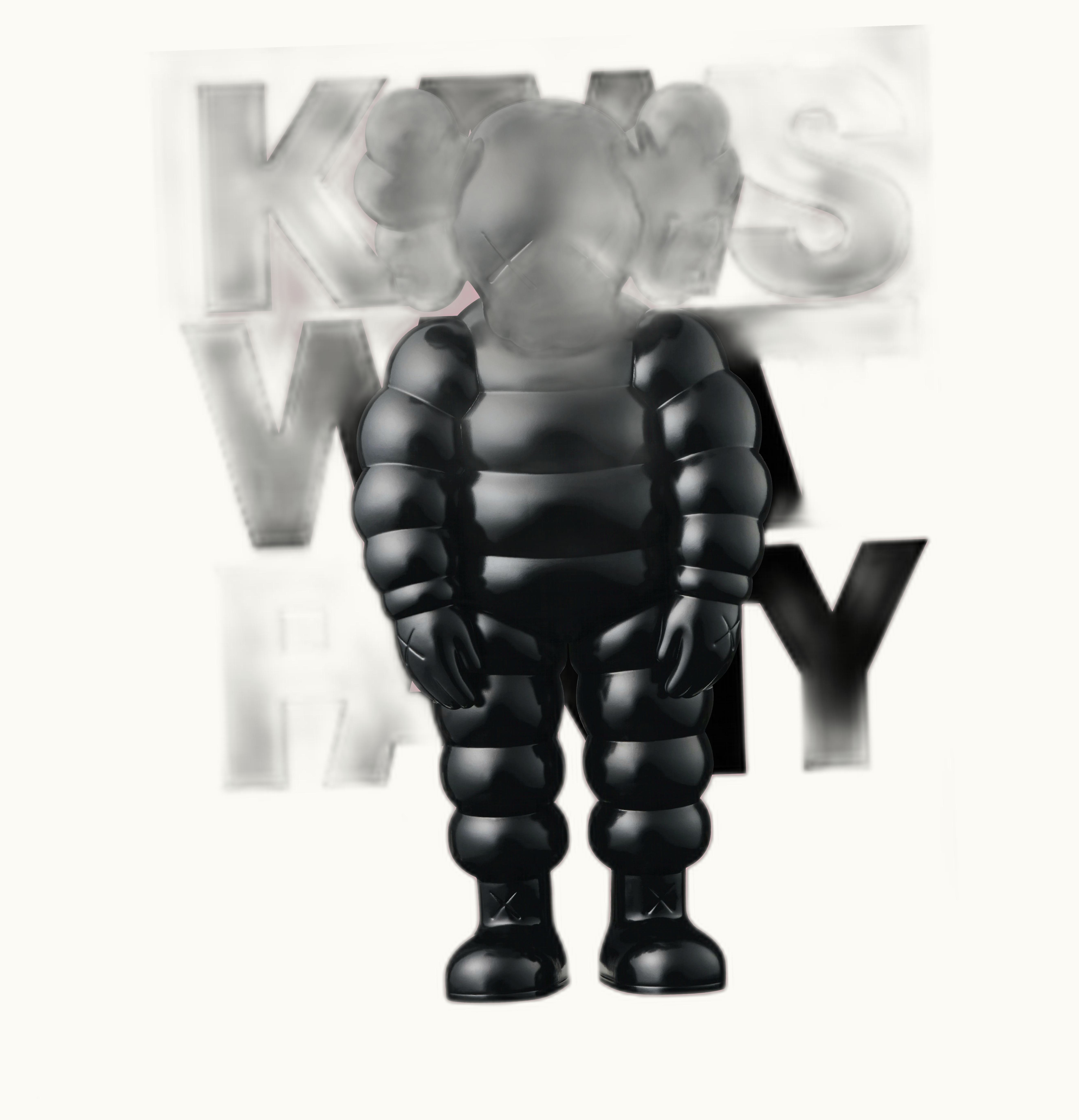 KAWS KAWS What Party Hard Cover Book 2nd Printing Pink