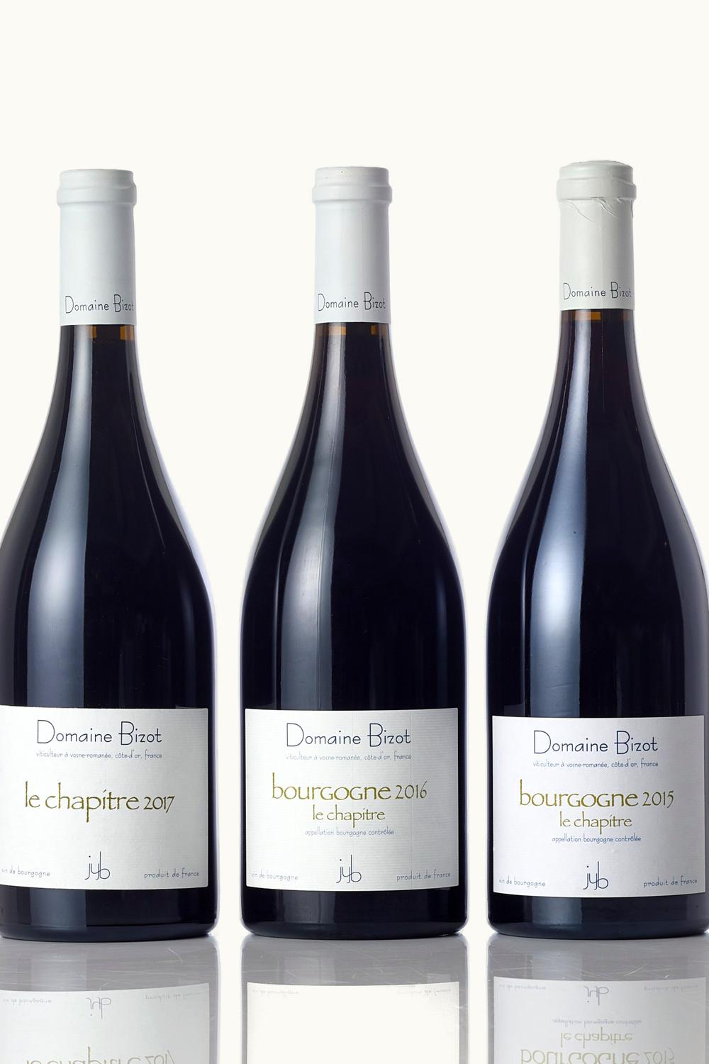 Domaine Jean-Yves Bizot Domaine Jean-Yves Bizot Rouge Bourgogne Le Chapitre, 2016
