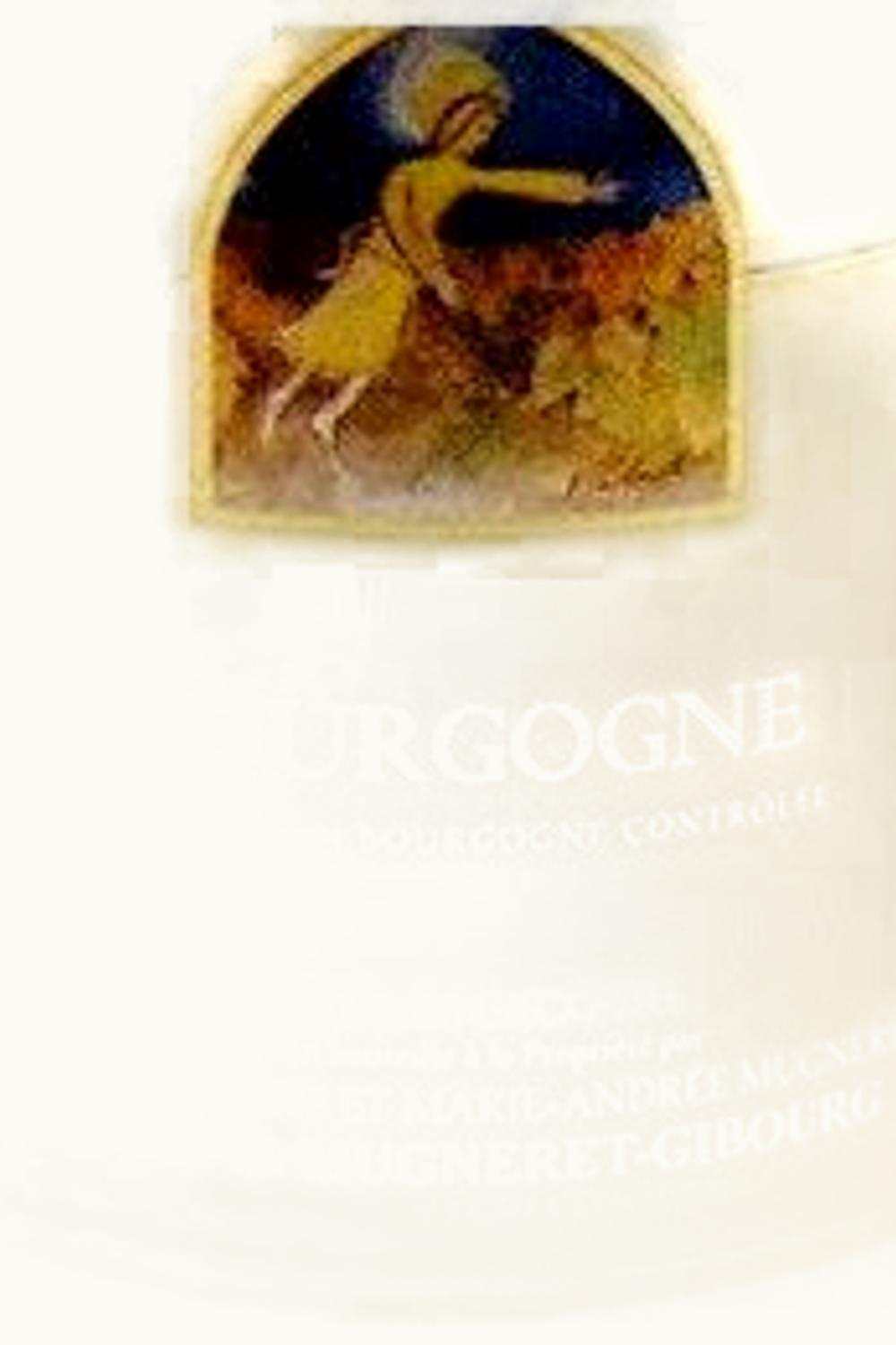 Domaine George Mugneret-Gibourg Bourgogne Rouge, 1991