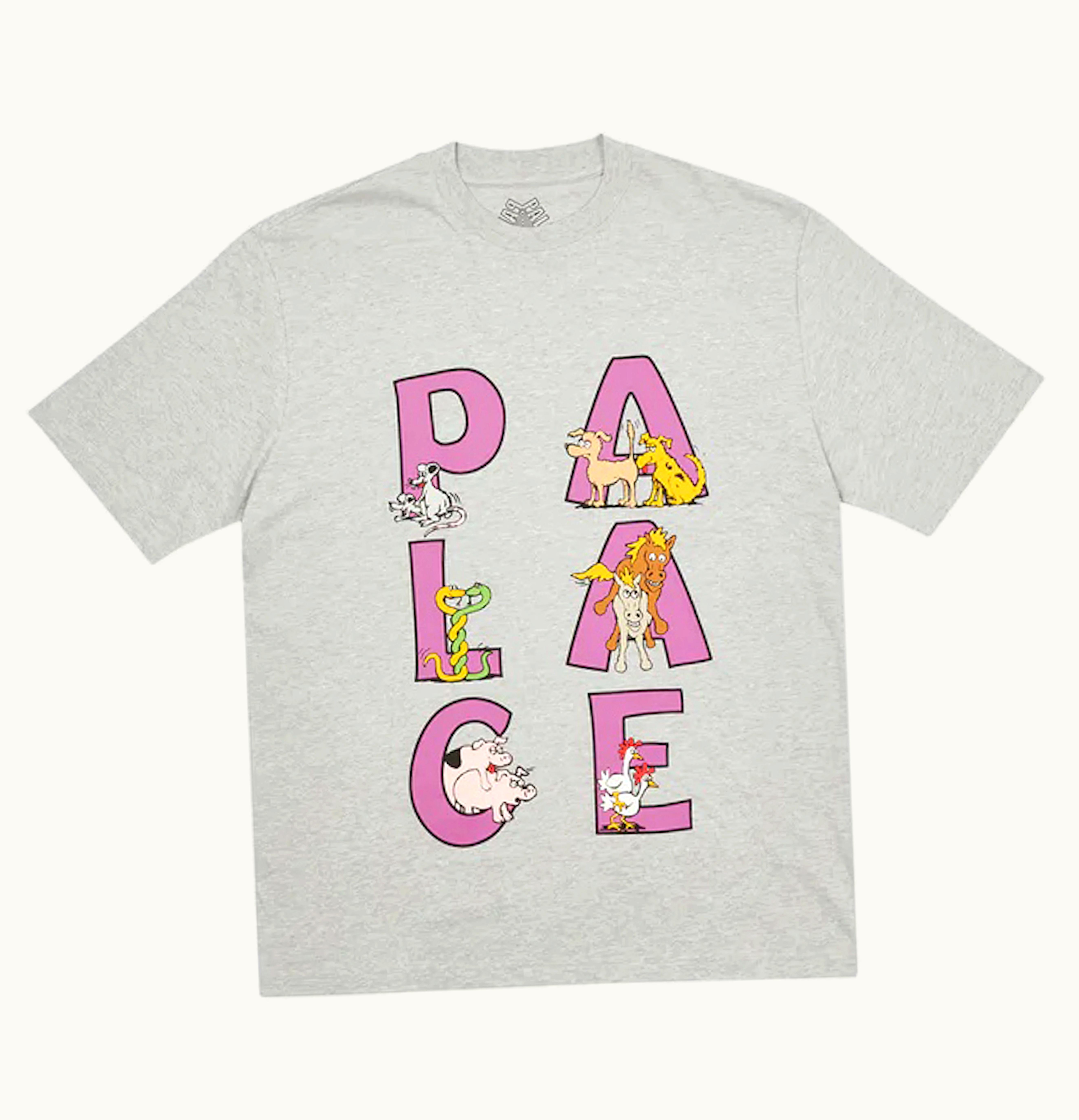 Palace Session T shirt Grey Marl