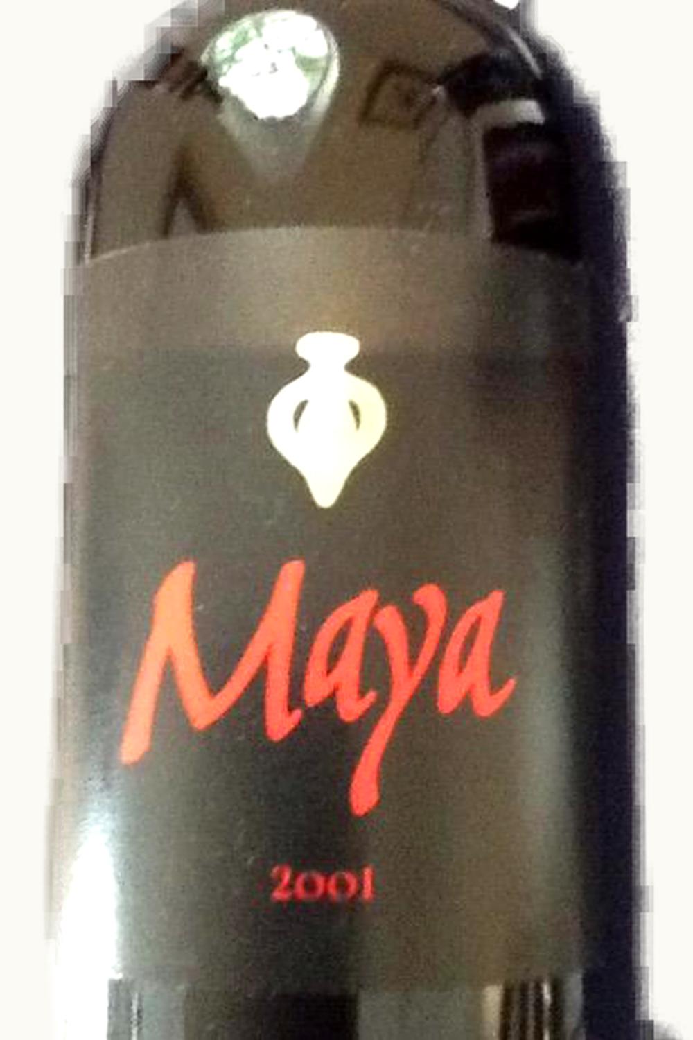 Dalla Valle Maya, 2001