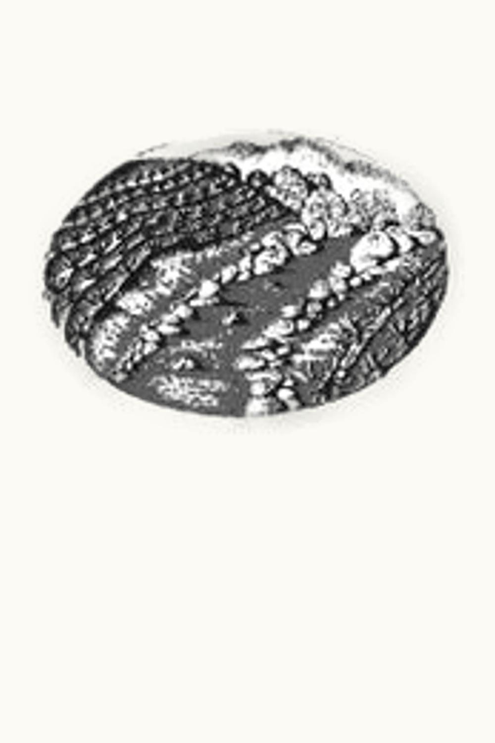 Diamond Creek Diamond Creek Lake Cabernet Sauvignon, 1997