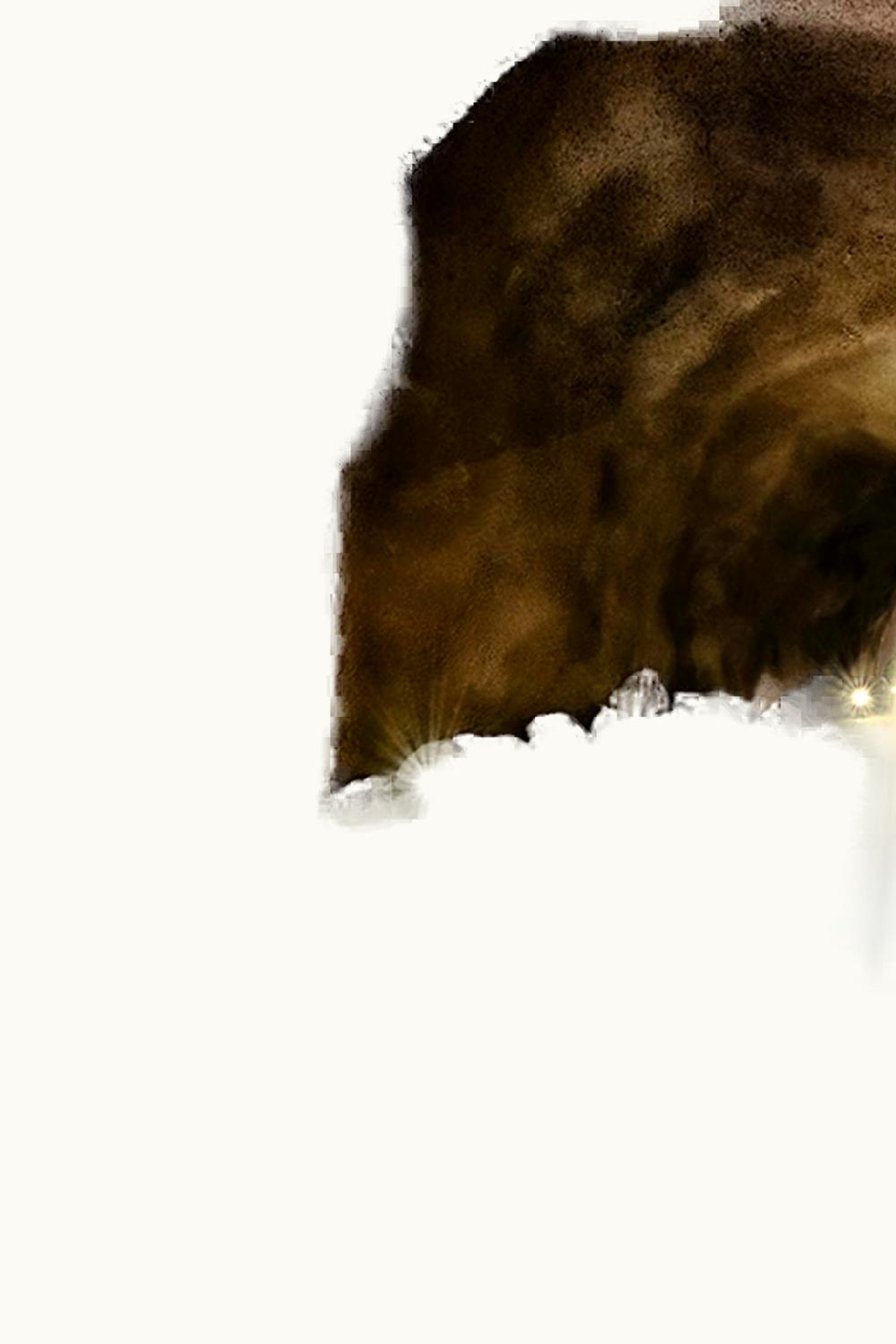 Jarvis Estate Cave Fermented Cabernet Sauvignon, 1995