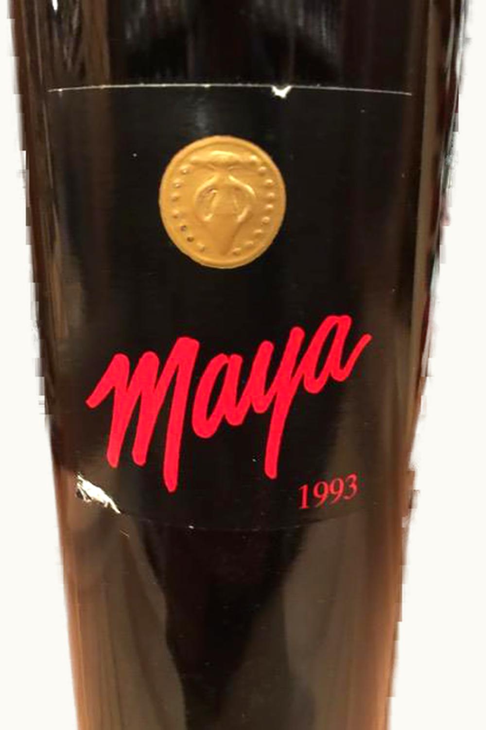 Dalla Valle Maya, 1993