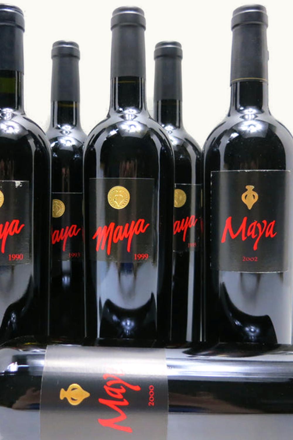 Dalla Valle Maya, 1989