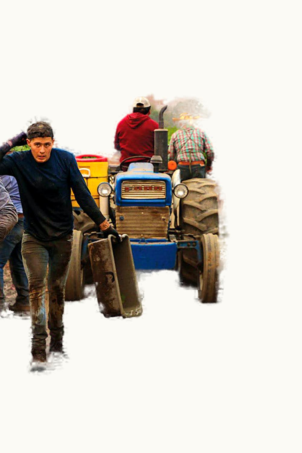 William W. Wheeler William W. Wheeler Cabernet Sauvignon, 1988