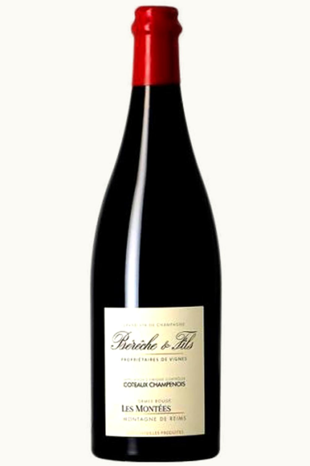 Bérêche & Fils Bérêche & Fils Orme Rouge Les Montiés Coteaux Champenois, 2019