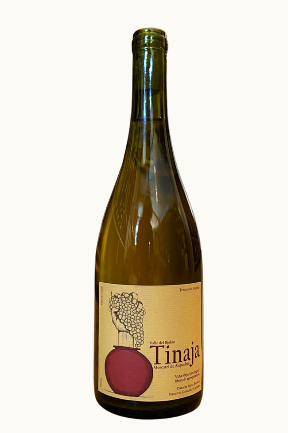 Yumbel Estación Tinajas Muscat de Alexandria Secano Interior Bio Valley Chile, 2022