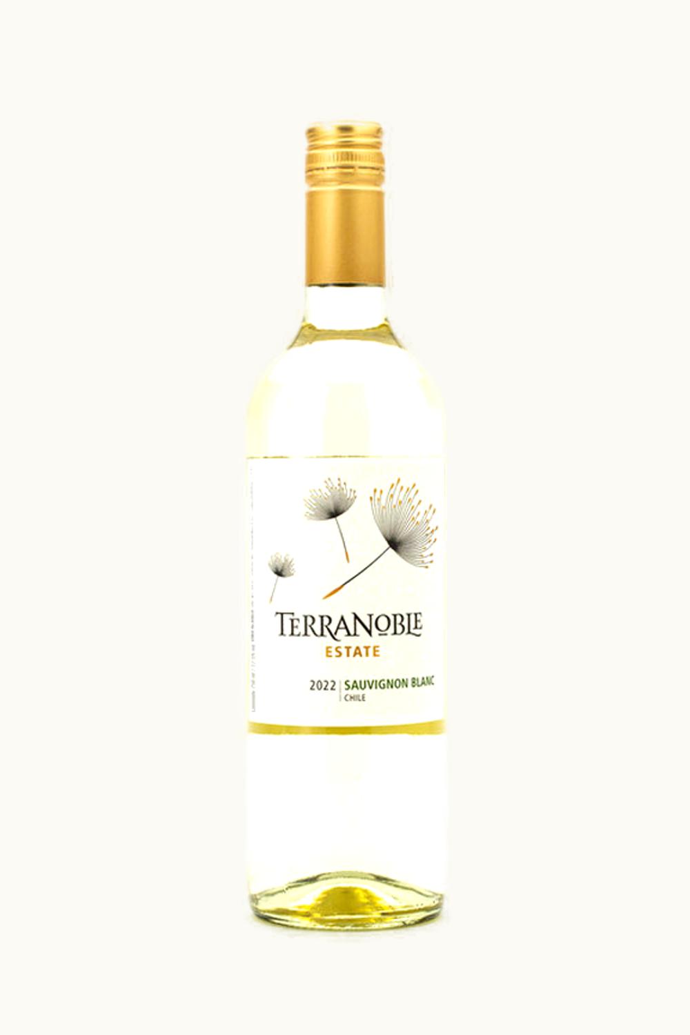 Terra Noble Terra Noble Sauvignon Blanc Central Valley Chile, 2022