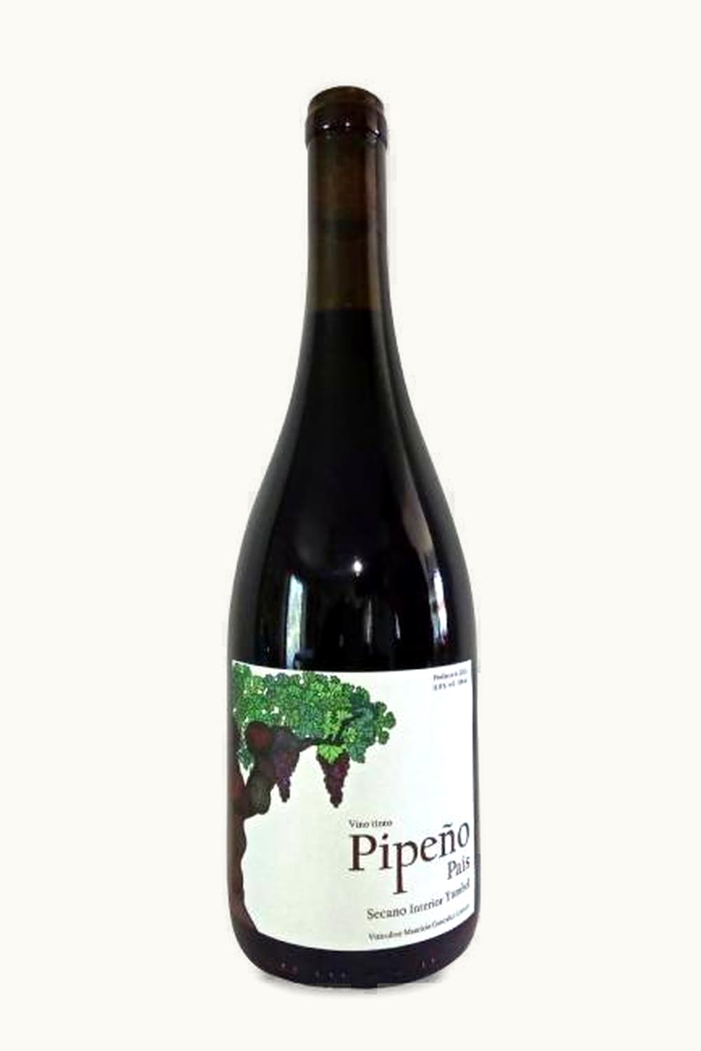 Yumbel Estación Yumbel Estación Pipeño Pais Secano Interior Bio Valley Chile, 2021