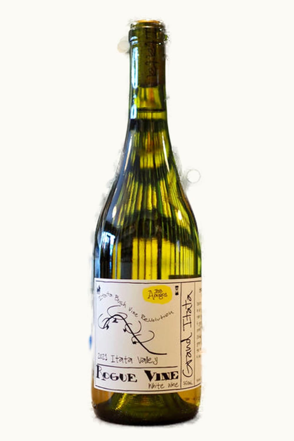Rogue Vines Rogue Vines Grand Itata Blanco Valley Chile, 2021