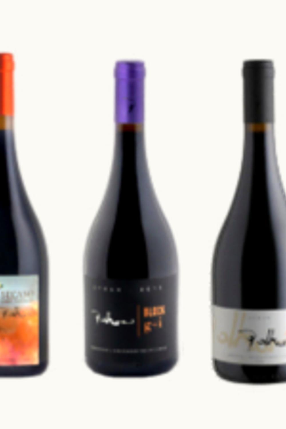 Polkura Polkura Syrah Colchagua Valley Chile, 2019